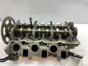 Motorkopf AUDI A6 Avant (4G5, C7, 4GD) 3.0 TDI quattro 059353EN 0268059353EN