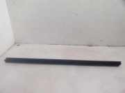 Zierleiste Windschutzscheibe Frontscheibe FIAT BRAVO II (198_) 1.9 D Multijet