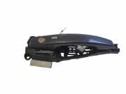 Türgriff links Opel Ampera (D1JOI)