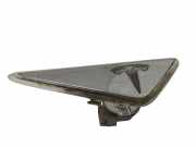 Blinker Kotflügel rechts Tesla Model S (5YJS) 6007699