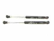Heckklappe Gasdruckfeder links CITROËN C3 Pluriel (HB_) 1.6 44349891
