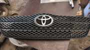 Vorderer oberer Gitter TOYOTA COROLLA (_E12_) 2.0 D-4D (CDE120_) 30580010