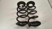 Schraubenfeder hinten links TESLA MODEL 3 EV 104447200G