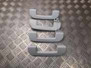 Griff Panoramadach Peugeot 2008 I () 036