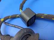 Kabel der vorderen linken Tür BMW 7 (E65, E66, E67) 730 Ld 1Q673111 6913125