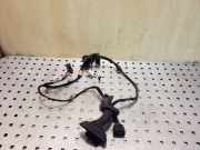 Kabel Tür Audi A6 (4F, C6) 4F1971687AL