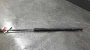 Heckklappendämpfer rechts Toyota Corolla Liftback (E12) 689500W101A