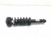 Stoßdämpfer links hinten BMW X3 (F25) 6796317