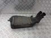 Ladeluftkühler Opel Zafira A (T98) 24406701