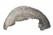 Radhaus rechts hinten Porsche Cayenne 2 (92A) 7P5810972