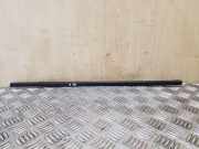 Türverkleidung links hinten Land Rover Discovery III (L319)