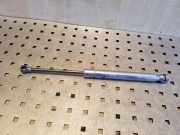 Heckklappe Gasdruckfeder links VW PHAETON (3D_) 4.2 V8 4motion 3D5827550C