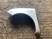 Kotflügel rechts vorne Renault Grand Scenic II (JM)