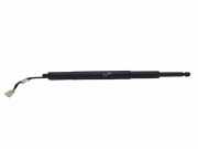 Heckklappe Gasdruckfeder links BMW 3 (G20, G80, G28) M3 Competition M3 G80 745341310