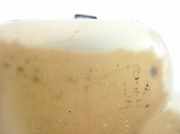 Ausgleichsbehälter LAND ROVER FREELANDER 2 (L359) 2.2 TD4 4x4 6G918K218D2L4