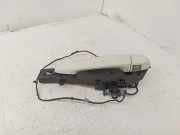 Türaußengriff hinten links