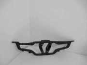 Vorderer oberer Gitter RENAULT CLIO III (BR0/1, CR0/1) 1.5 dCi (BR0H, CR0H) T0000123833 628101467R