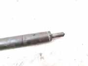 Düsenstöcke Peugeot 307 CC () 9656389980