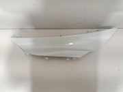 Kotflügel hinten links BMW i8 Roadster (I15) hybrid 7359583