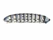 Bodenschutz der Frontstoßstange RENAULT LAGUNA III (BT0/1) 2.0 dCi (BT01, BT09, BT12, BT1S)