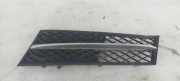 Gitter vorne unten BMW 5 (F10) 520 d 7200699