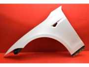 Kotflügel links vorne Tesla Model S (5YJS)