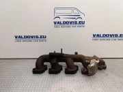 Auspuffkrümmer Ford Transit V363 Kasten (FCD, FDD) BK3Q9430EB