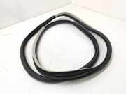 Türgummi links vorne Renault Espace V (JR)