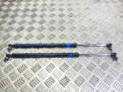 Gasfeder für Motorhaube Subaru Outback IV (BR)