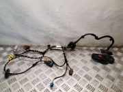 Kabel Tür vorne rechts VW TIGUAN (5N_) 2.0 TDI 4motion 5N2971120