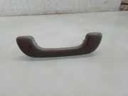 Dachgriff vorne links RENAULT TRAFIC II Furgon (FL) 1.9 dCi 100 (FL0C)