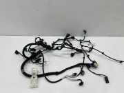 Motor Kabelbaum BMW X7 (G07) xDrive M 50 D 8476579 9887454