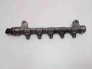 Einspritzleiste Kia Sportage 3 (SL) 314002A420