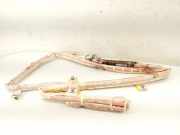 Airbag Dach rechts VW Sharan (7N) 7N0880742