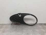 Kühlergrill unten Mercedes-Benz C-Klasse (W203) A2038850523