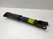 Stoßdämpfer hinten rechts CADILLAC CTS 2.6 25770450