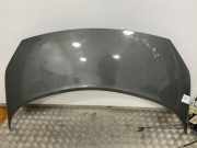 Motorhaube Renault Scenic II (JM)