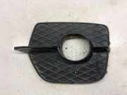 Blende Nebelscheinwerfer BMW X6 (E71, E72) 7188383