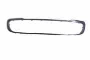 Gitter vorne unten MINI CLUBMAN (R55) Cooper S 7255111