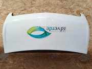 Motorhaube OPEL MOVANO B Furgon 2.3 CDTI [RWD]