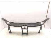 Zier-/Schutzleistensatz für Kühlergitter Mercedes-Benz S-Klasse (W220)