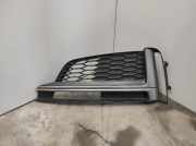 Kühlergrill unten Audi A5 (F53) 8W6807681
