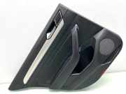 Türpolster hinten links