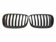 Vorderer oberer Gitter BMW X6 (E71, E72) xDrive 30 d 51317185223