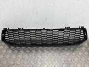 Gitter vorne unten BMW F90 (F90) m5 8080601