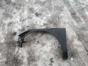 Kotflügel links vorne Mercedes-Benz R-Klasse (W251)