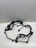 Kabel der vorderen linken Tür RENAULT MEGANE IV (B9A/M_) 1.5 dCi 110 (B9A3) 241243126R