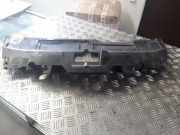 Vorderer oberer Gitter PEUGEOT 407 Coupe (6C_) 2.7 HDi 9658566880