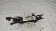 AGR-Kühler FORD GALAXY (WGR) 1.9 TDI 038131513L