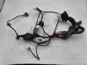 Kabelbaum KIA PRO CEE'D (ED) 1.6 CRDi 90 91610